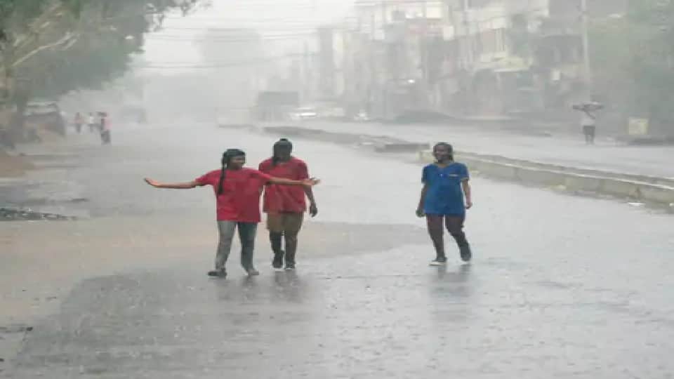 MP Madhya Pradesh Weather Update Today: Yellow alert issued for heavy rain in 10 districts
