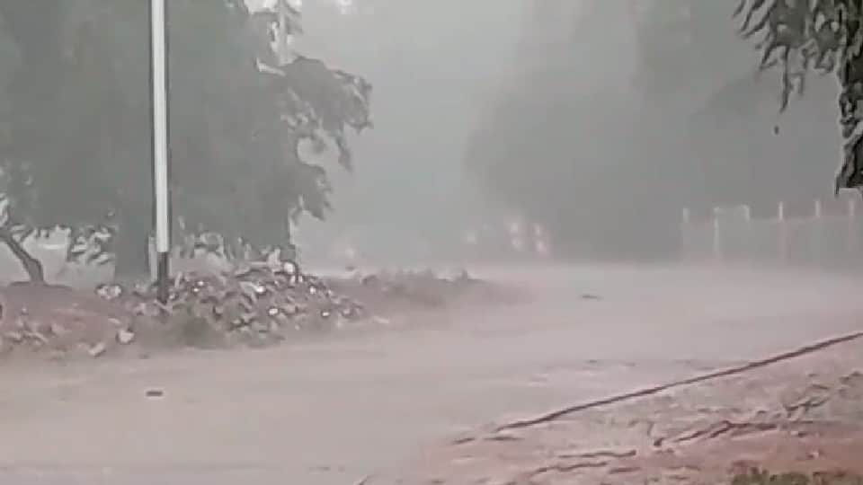 MP Madhya Pradesh Weather Update Today: Yellow alert issued for heavy rain in 10 districts