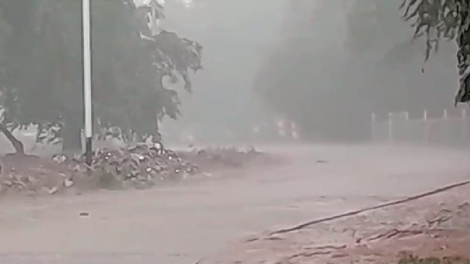 MP Madhya Pradesh Weather Update Today: Yellow alert issued for heavy rain in 10 districts