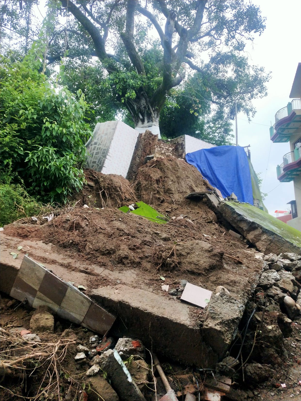 In Tikkar, the riot of Peepal's Tiala landed, danger to the houses