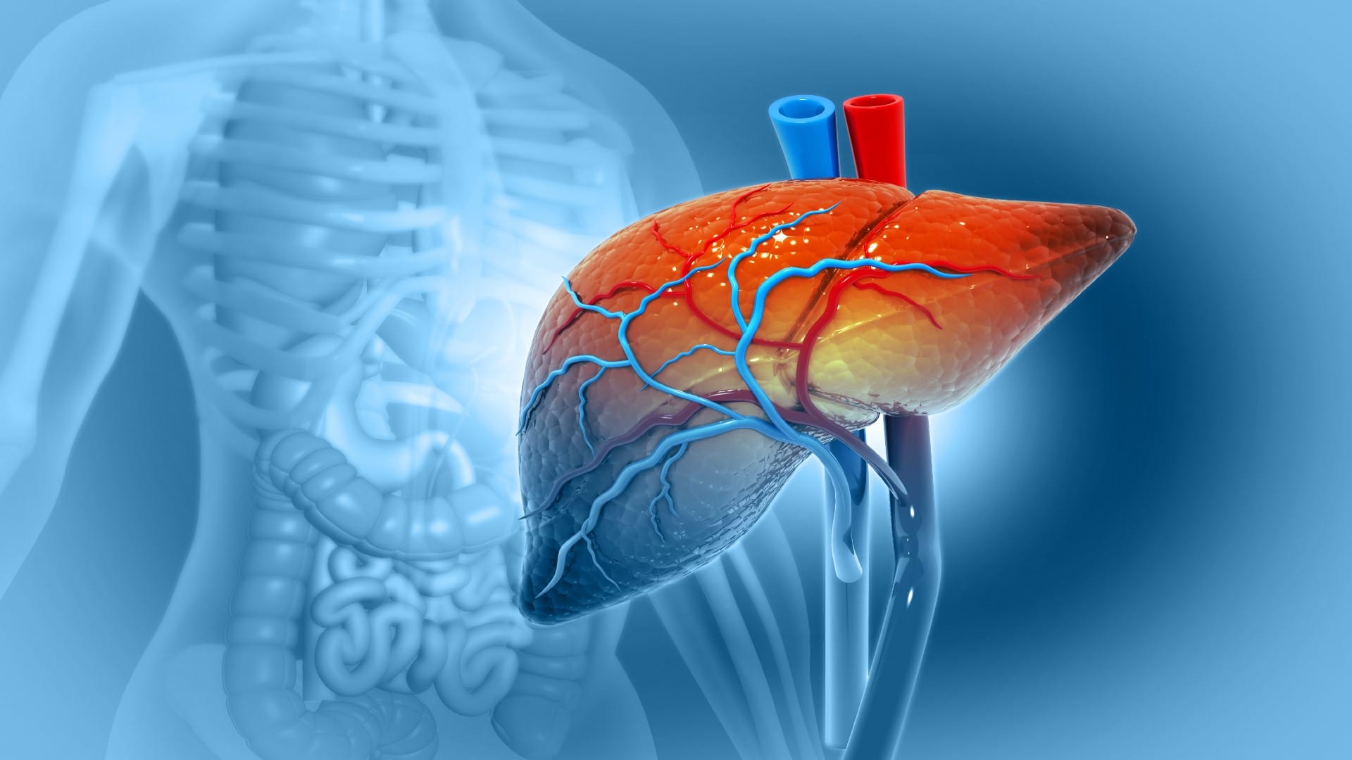 Which is More Dangerous Hepatitis Types A B or C Difference acute hepatitis And chronic hepatitis
