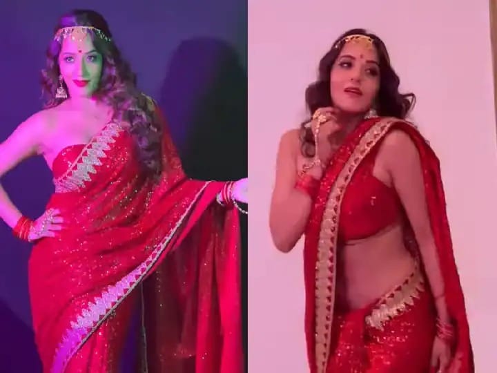 Bhojpuri actress monalisa video in red shimmery saree went viral on internet