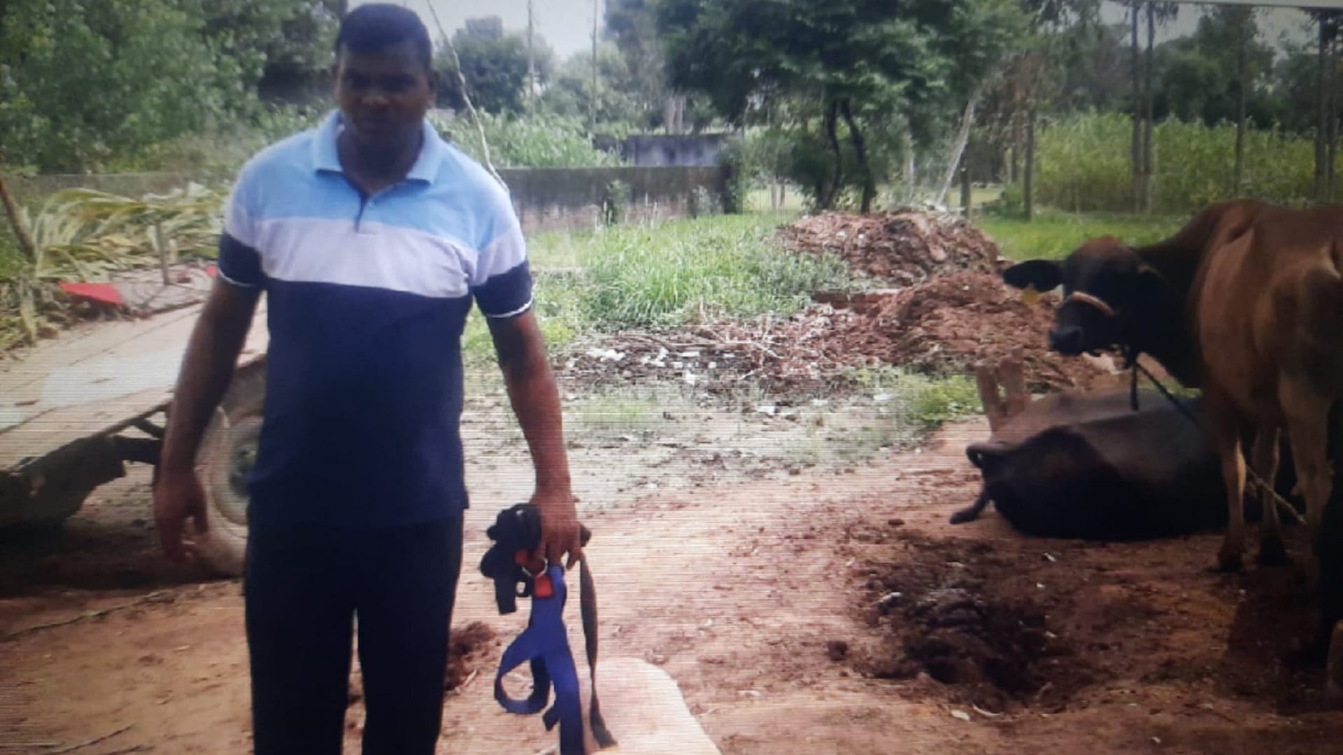 A farmer was murdered with a shovel In a village of Saharanpur and see photoss