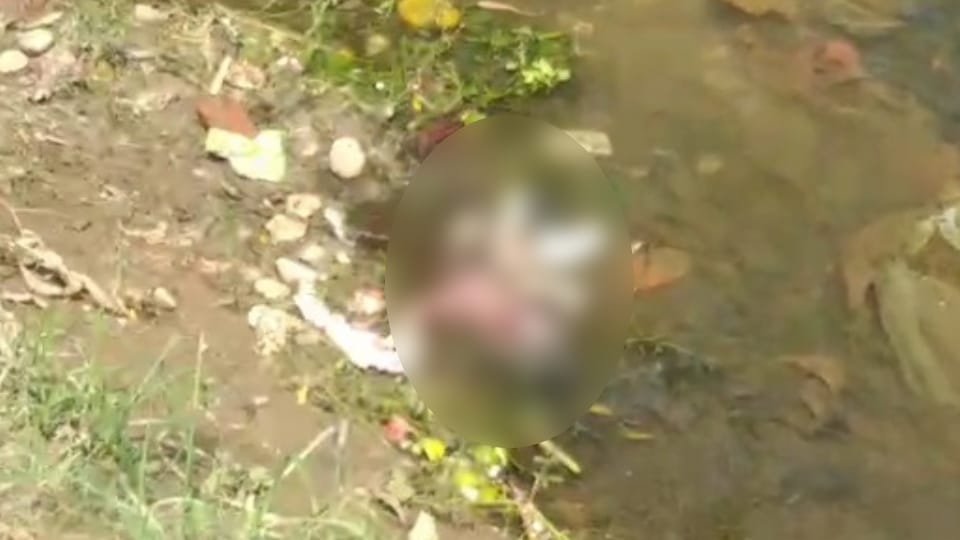 Dead body of newborn child was found in Jalandhar Bist Doab canal
