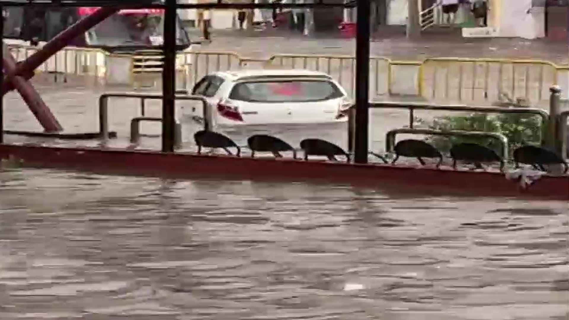 water logged on Road after rain in Jaipur