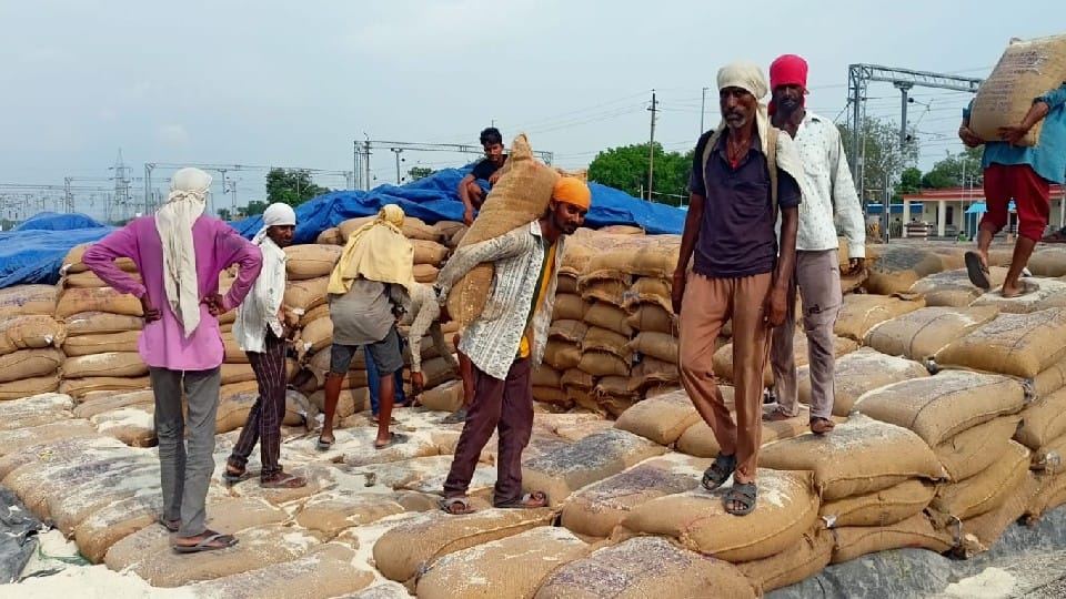 Rice of the poor drenched in rain carelessly, 2600 tonnes of rice rake came a day before from Mandla