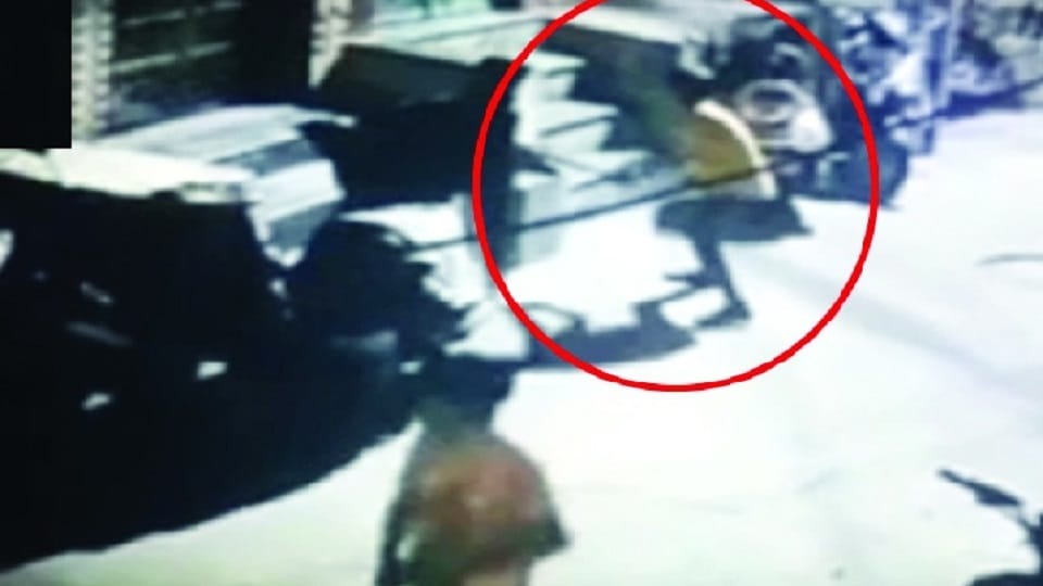 three minors thrashed a stray dog with a stick in mandawali area
