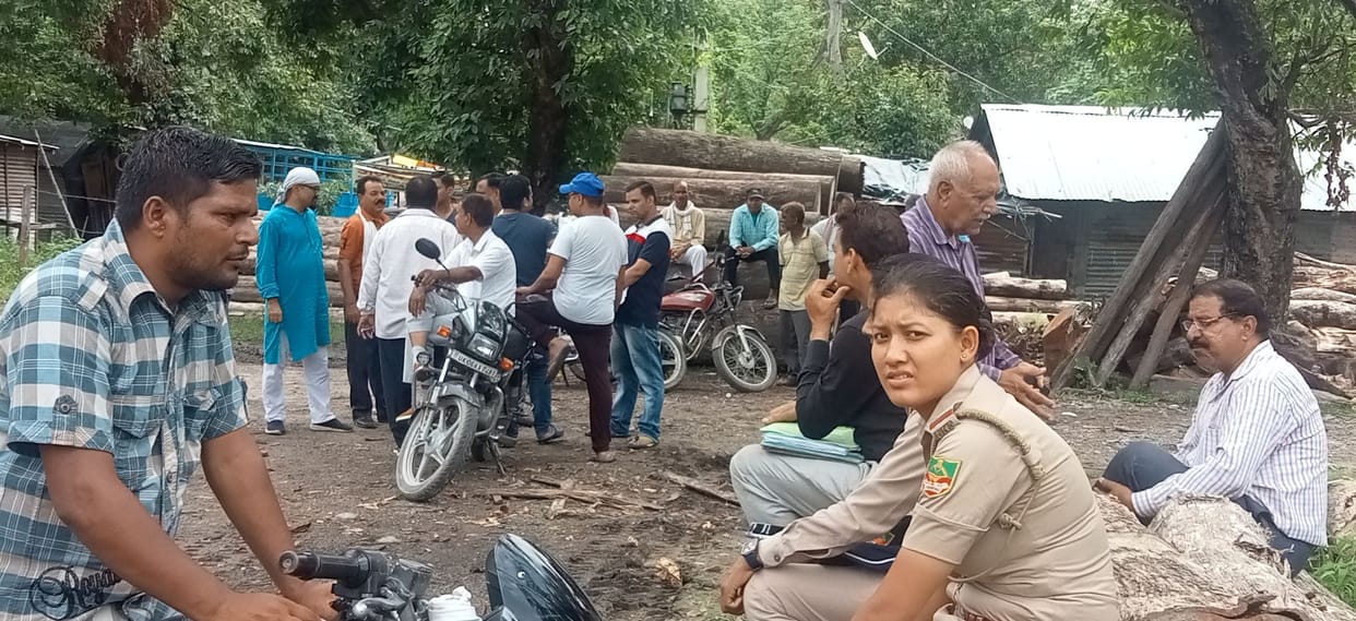 Inspection Of Timber Tall  in Khateema