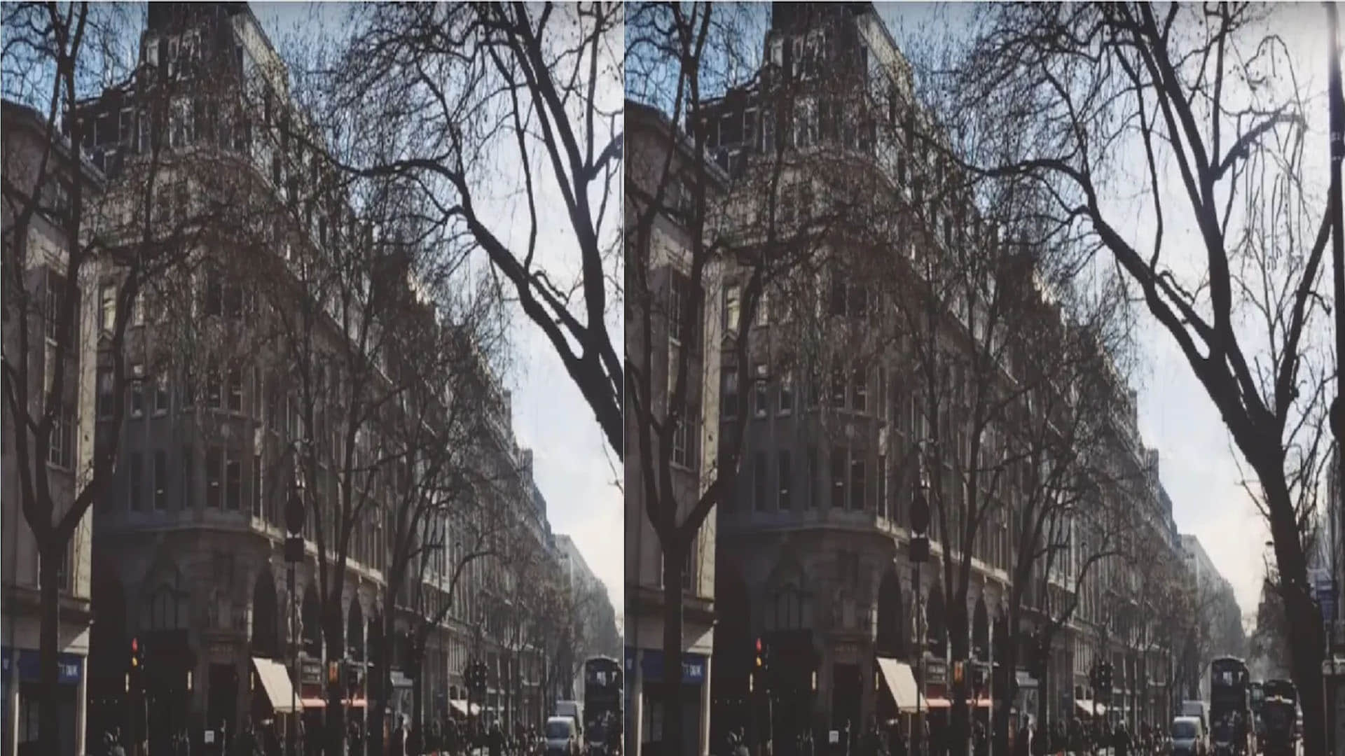 Optical Illusion Images Quiz Find a dog in This Picture Check Your Brain Power