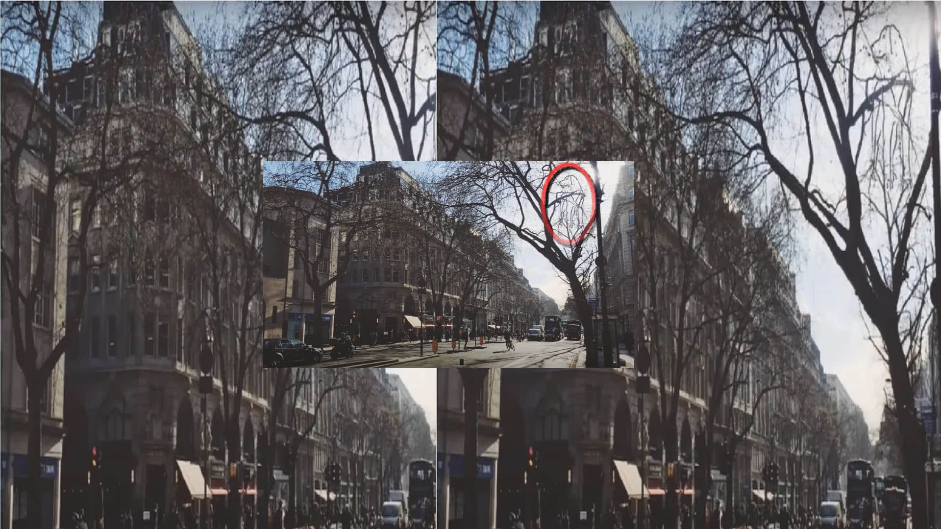 Optical Illusion Images Quiz Find a dog in This Picture Check Your Brain Power