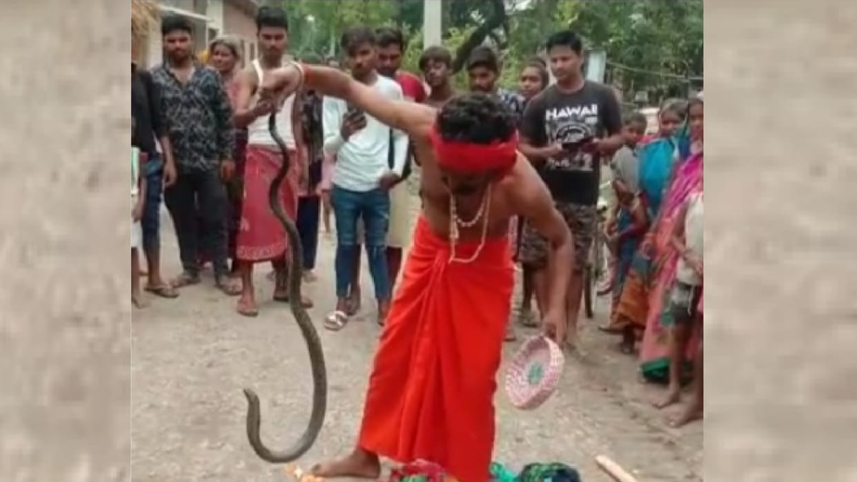 Snake get caught after after third day in Mohanlalganj.