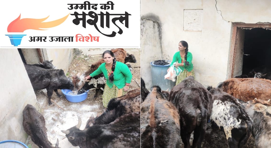 Umeed ki Mashal: Aarti of Theog of Shimla became the helper of the unclaimed cow