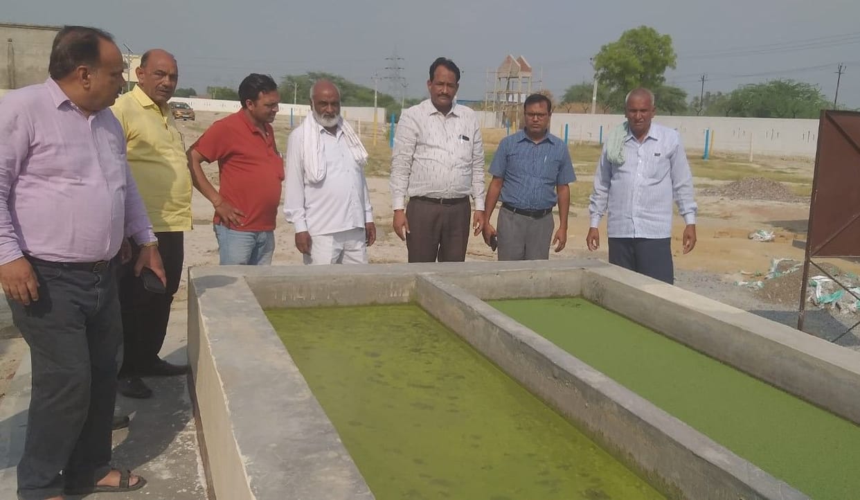 Hathras: The problem of green fodder will be removed from Ajola