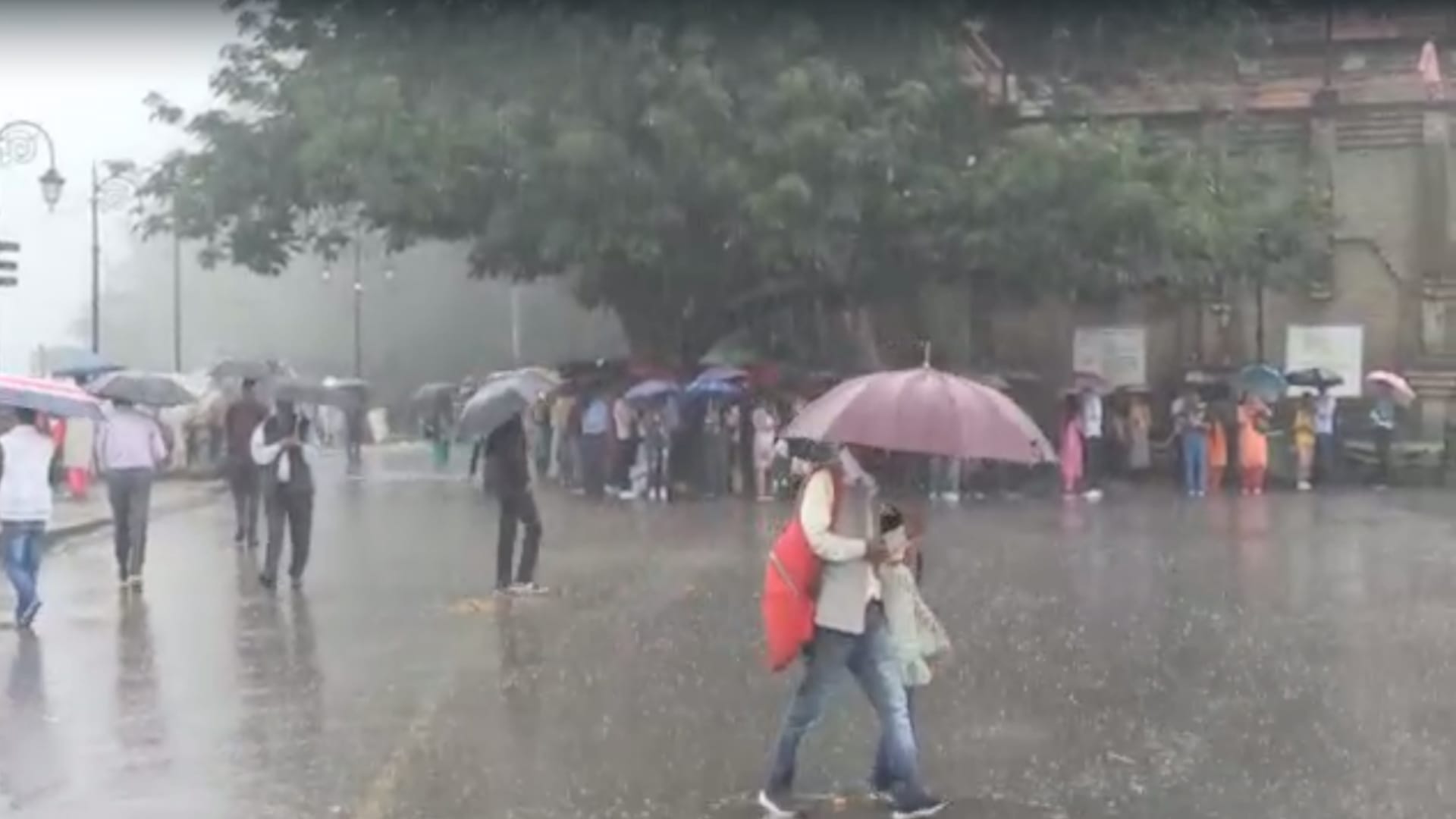 एमपी मौसम आज: छिंदवाड़ा में 81.4 मिलीमीटर बारिश हुई है।