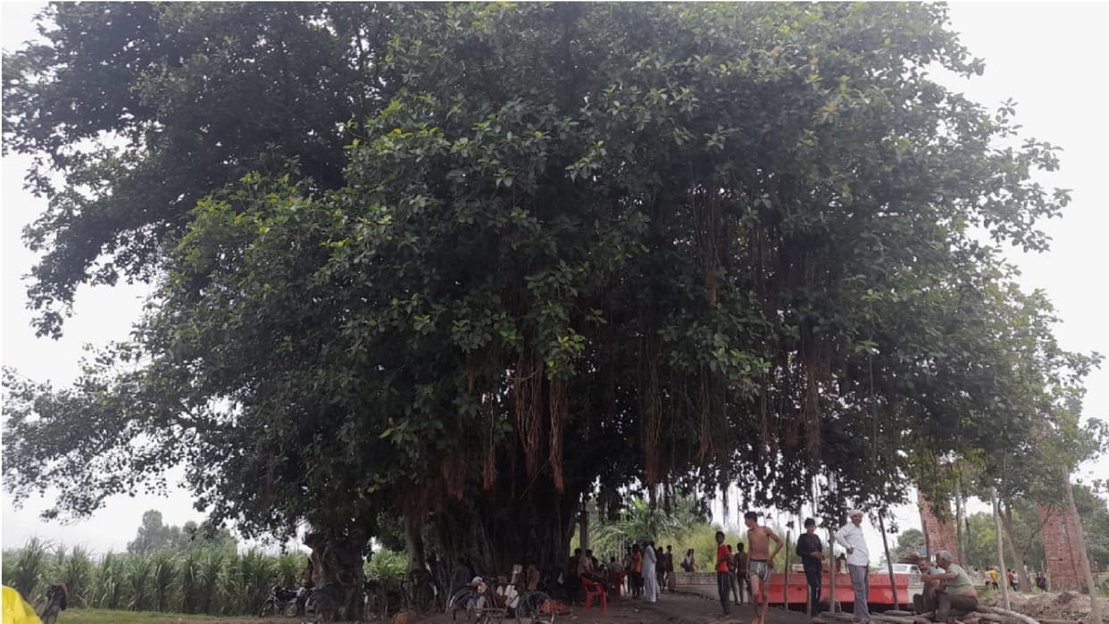 Only one person in a village of Meerut and Arjuna had placed arrows on the banyan tree here