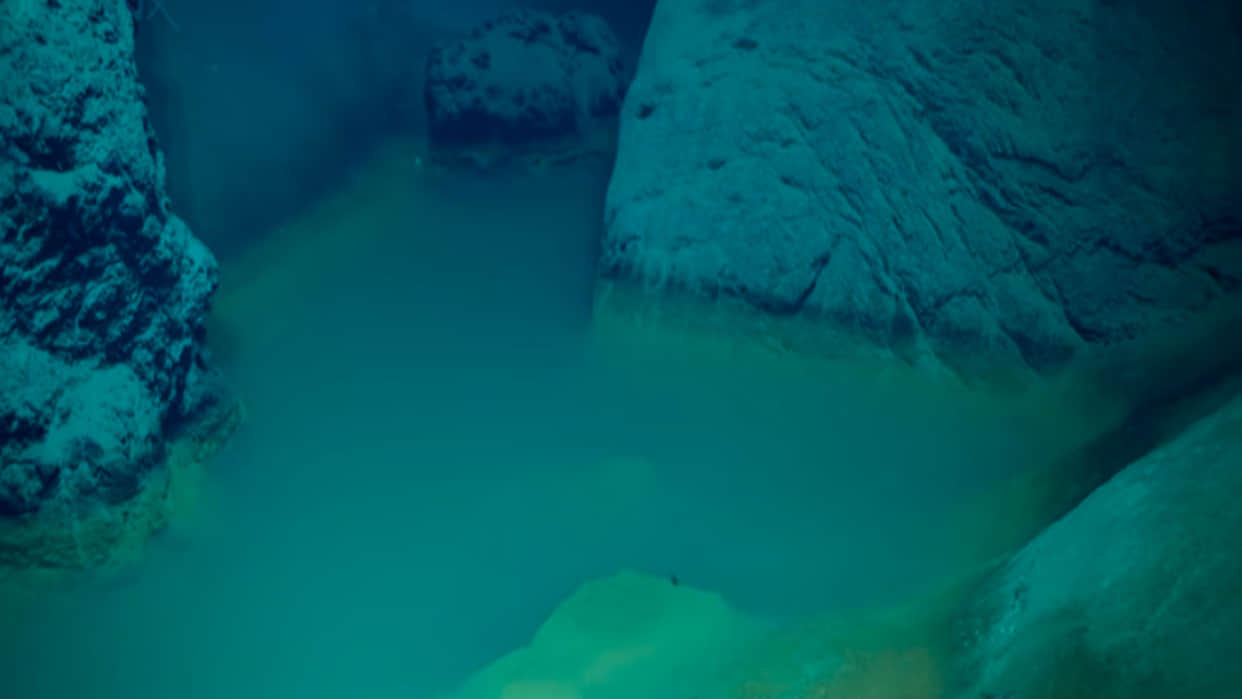 Scientist Discovered Poisonous Pools Under the Ocean Where Human Dies on Swimming