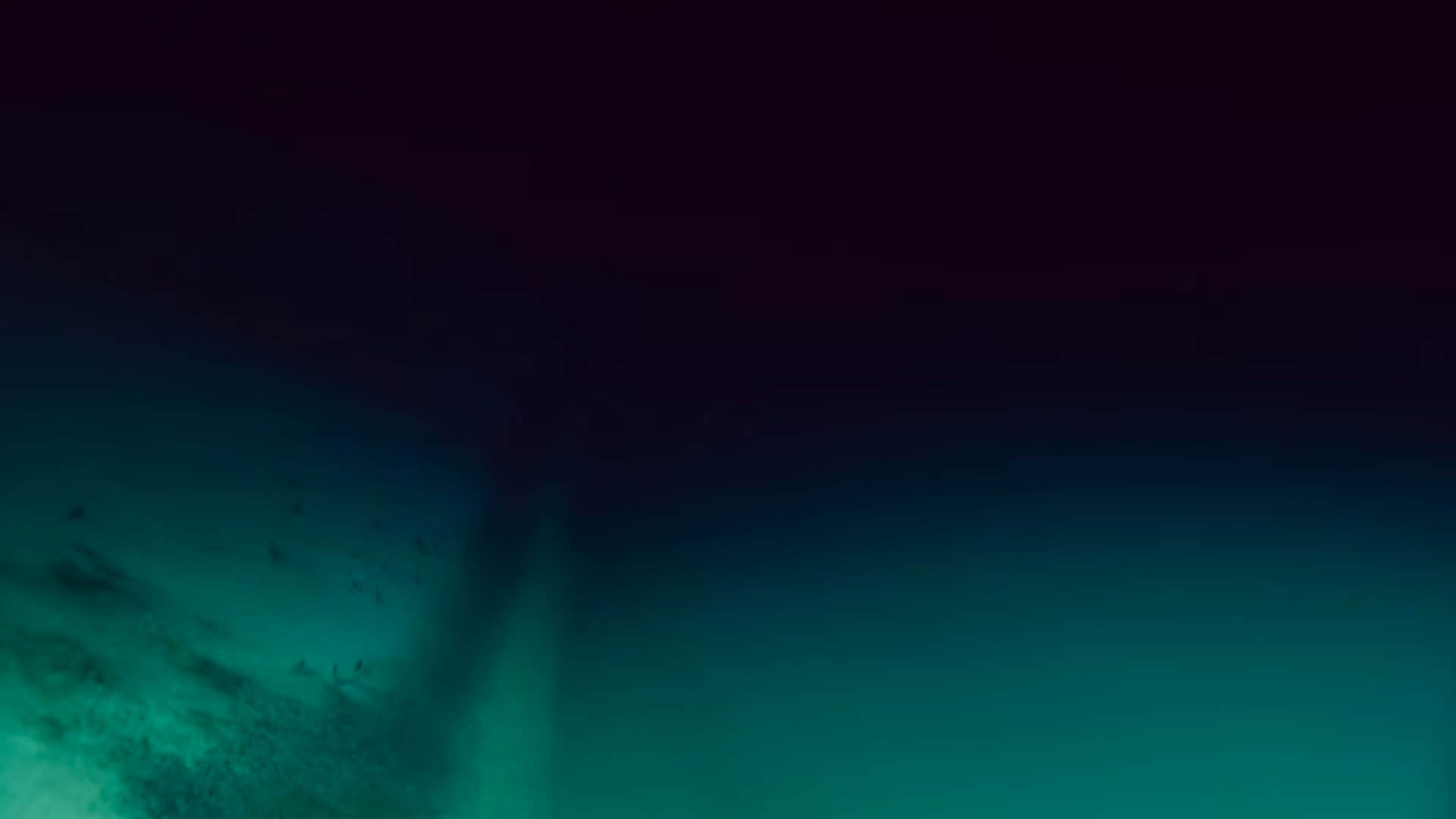 Scientist Discovered Poisonous Pools Under the Ocean Where Human Dies on Swimming