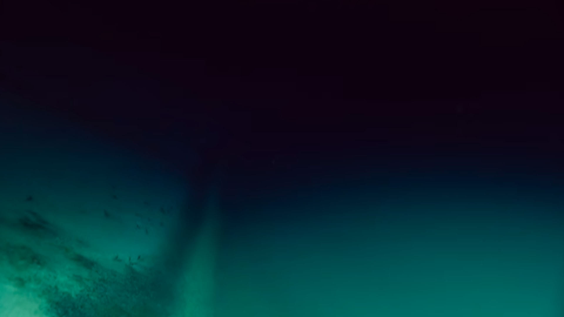 Scientist Discovered Poisonous Pools Under the Ocean Where Human Dies on Swimming