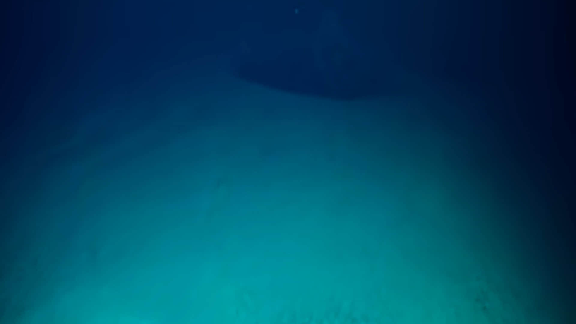 Scientist Discovered Poisonous Pools Under the Ocean Where Human Dies on Swimming