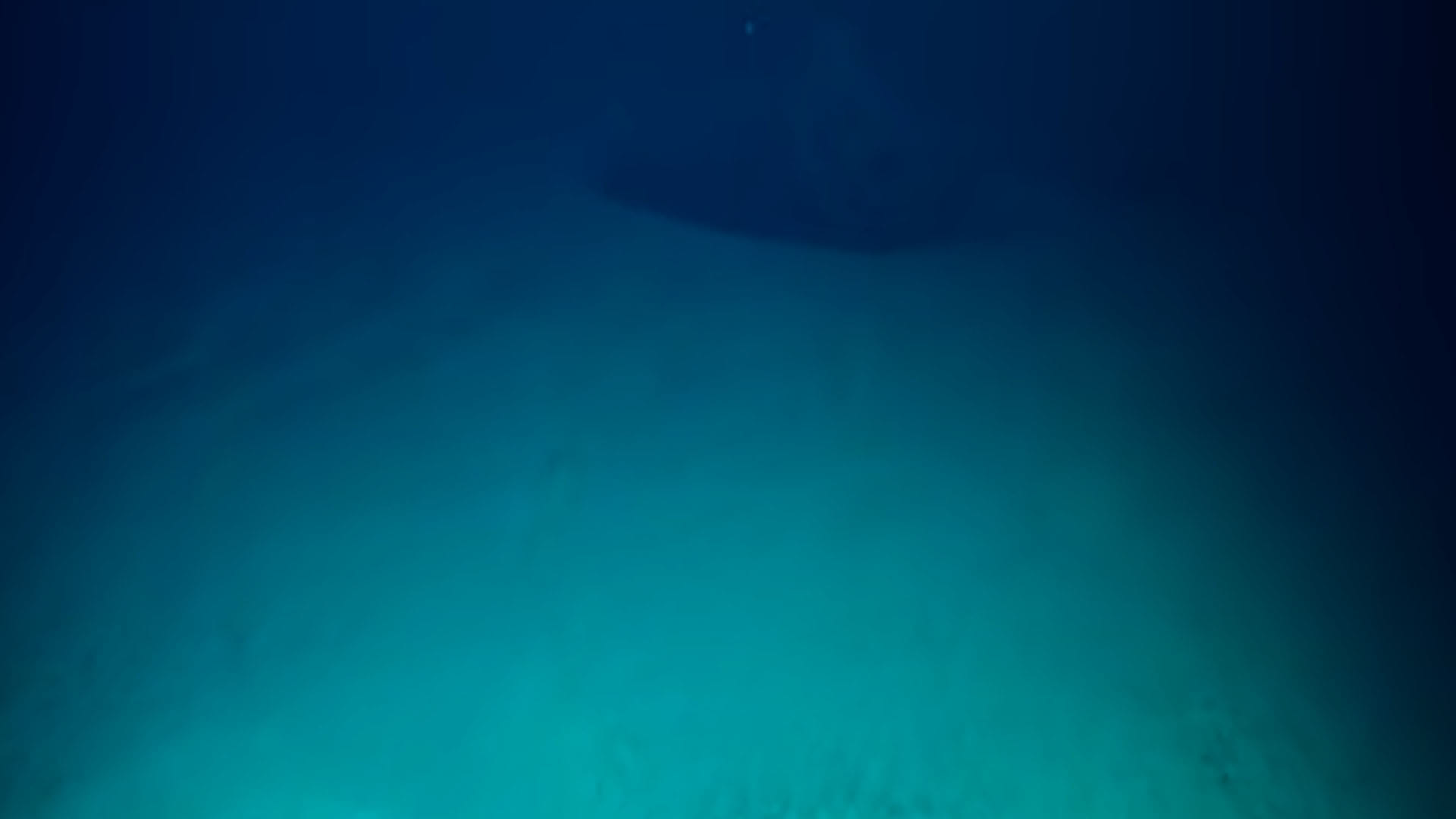 Scientist Discovered Poisonous Pools Under the Ocean Where Human Dies on Swimming