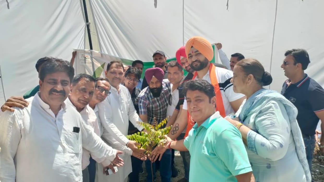 Pension will be given for taking care of elderly trees, Kurukshetra