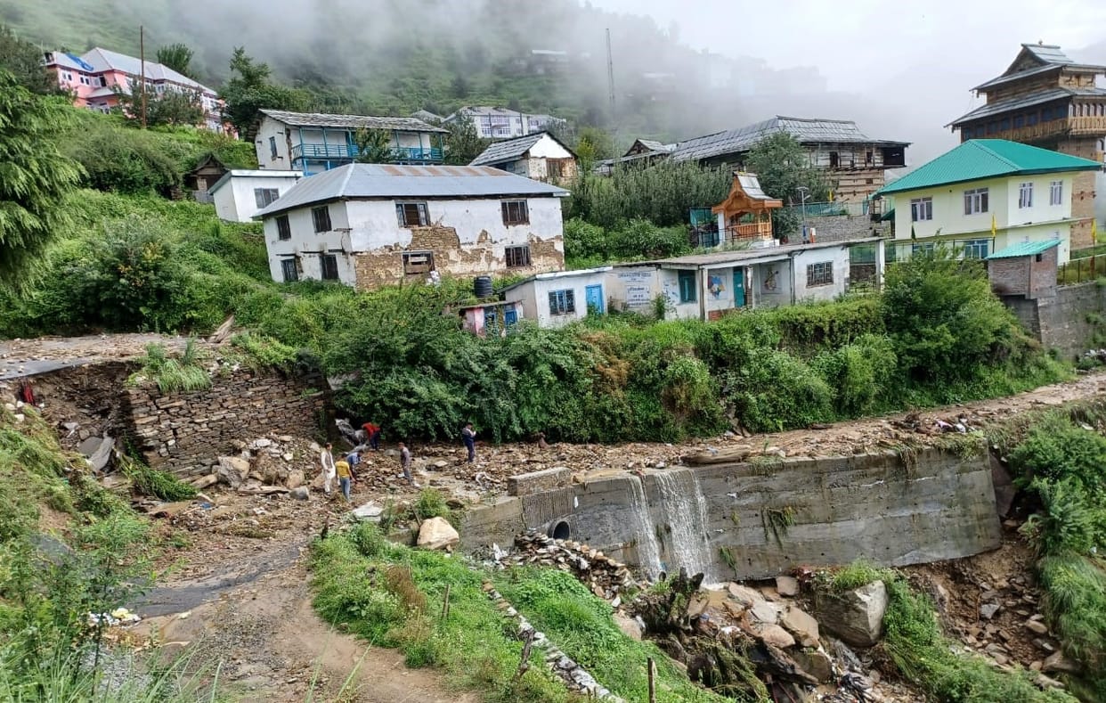 apple orchads distroy in bamta chopal due to flood