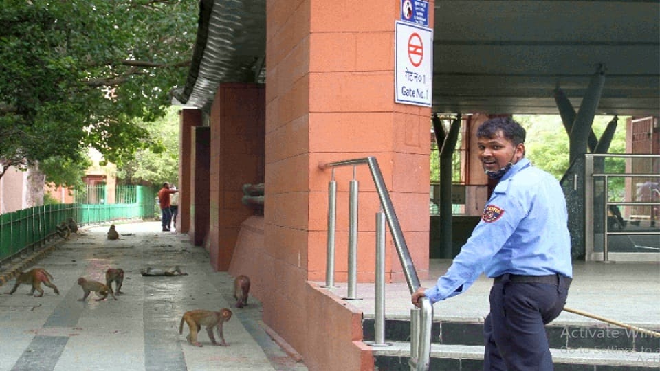beware of monkeys guards posted at metro stations for the safety of passengers dmrc issues sop