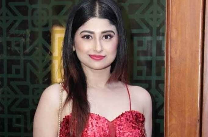 Saba Khan Birthday Know Untold Facts about Bigg Boss 12 Contestant