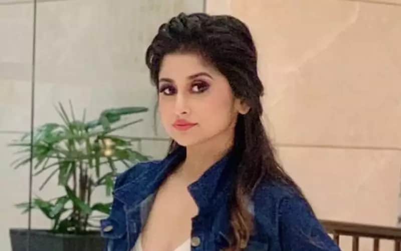 Saba Khan Birthday Know Untold Facts about Bigg Boss 12 Contestant