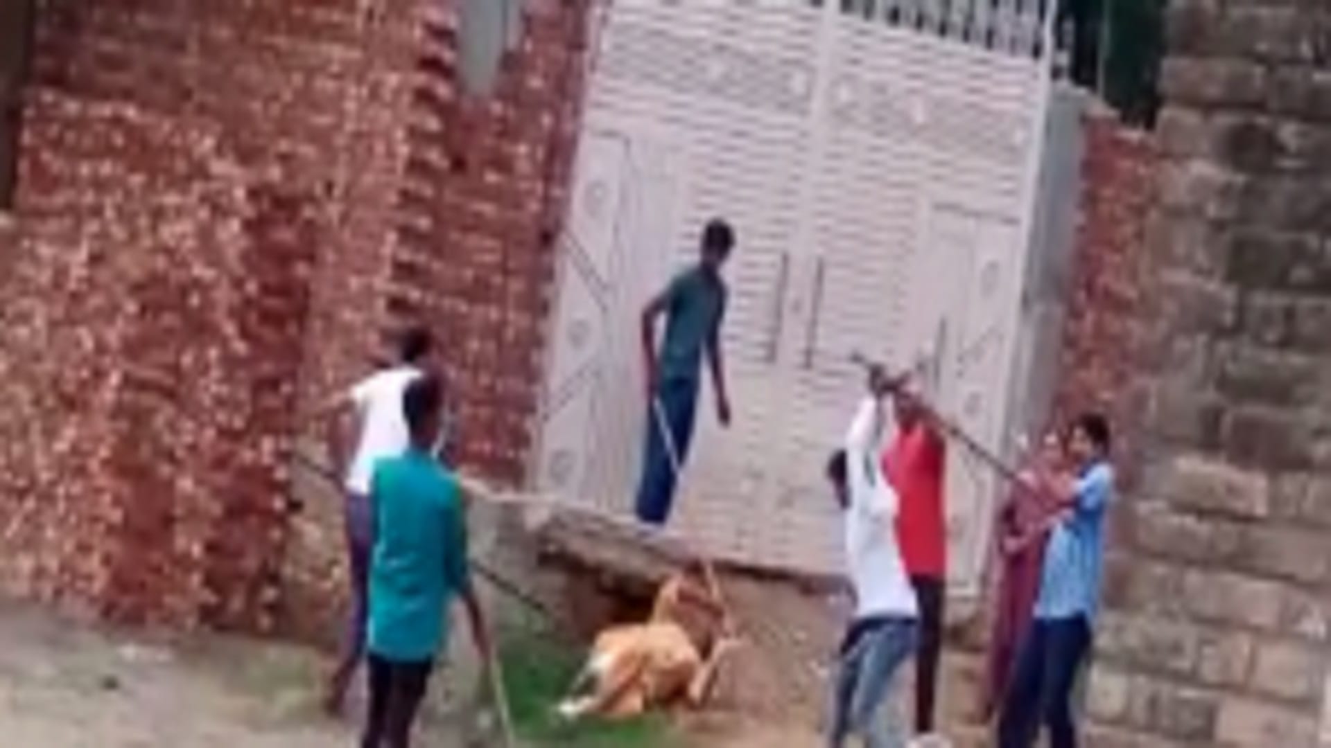 The peoples have beaten up a woman by sticks and video viral in Saharanpur