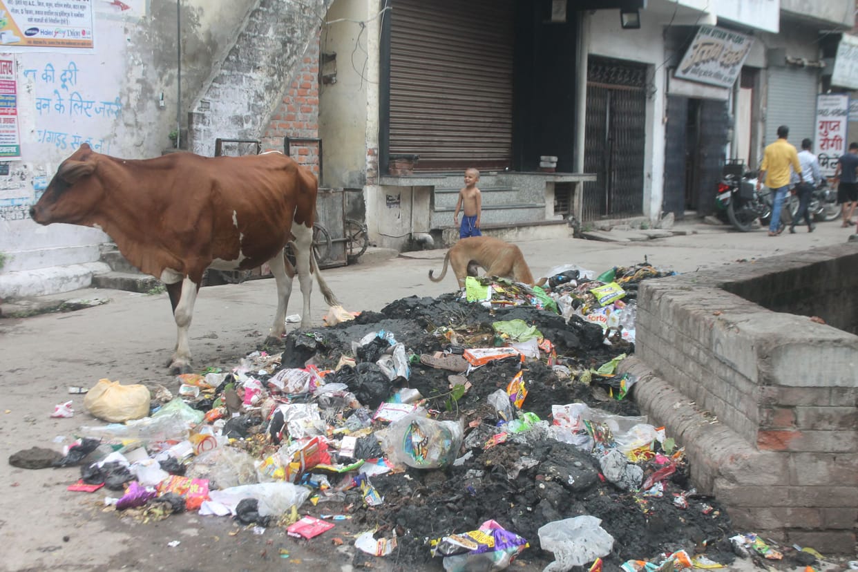 People throwing garbage anywhere,