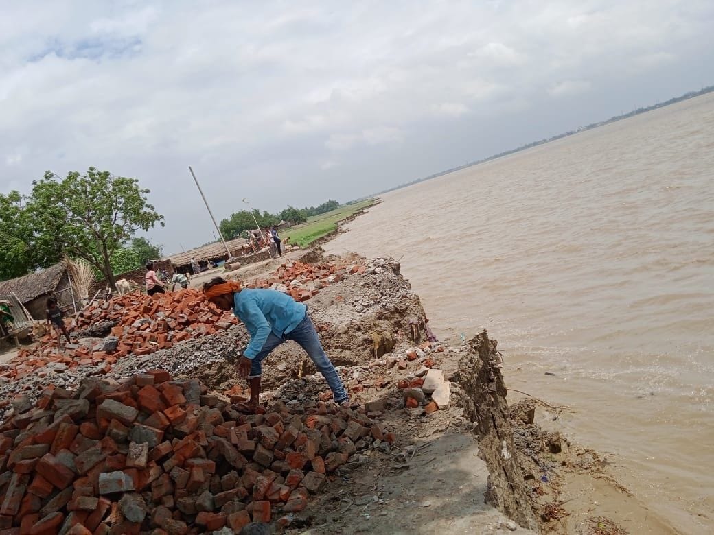 As the water level receded, the cutting intensified in Bindtolia.