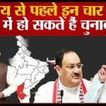 विधानसभा चुनाव