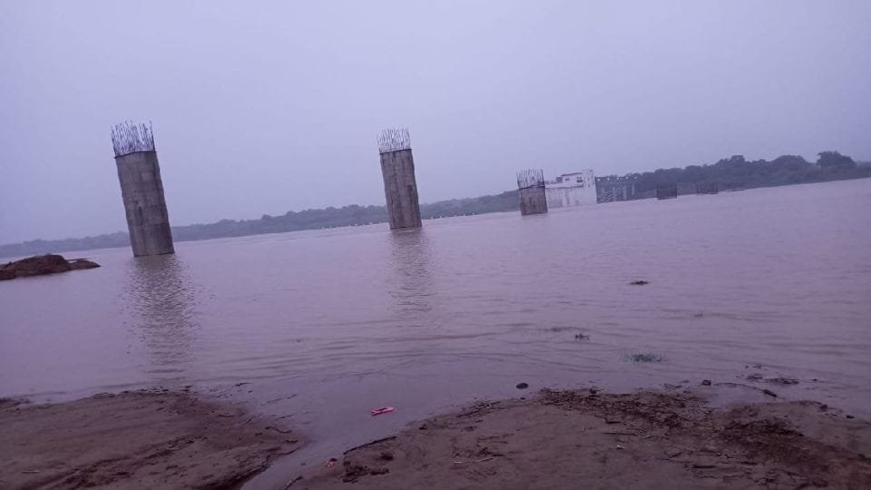 Chambal river decreased, now trouble due to swamp