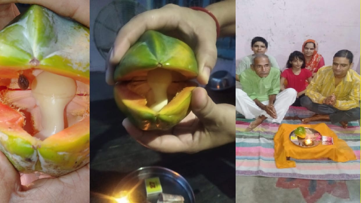 The figure of Ganesh ji has been seen in papaya in a village of Muzaffarnagar