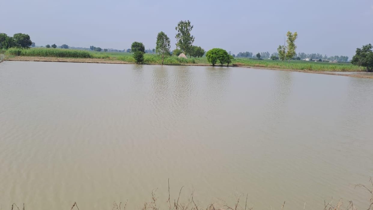 400 acres of crop submerged in water in village Rohera