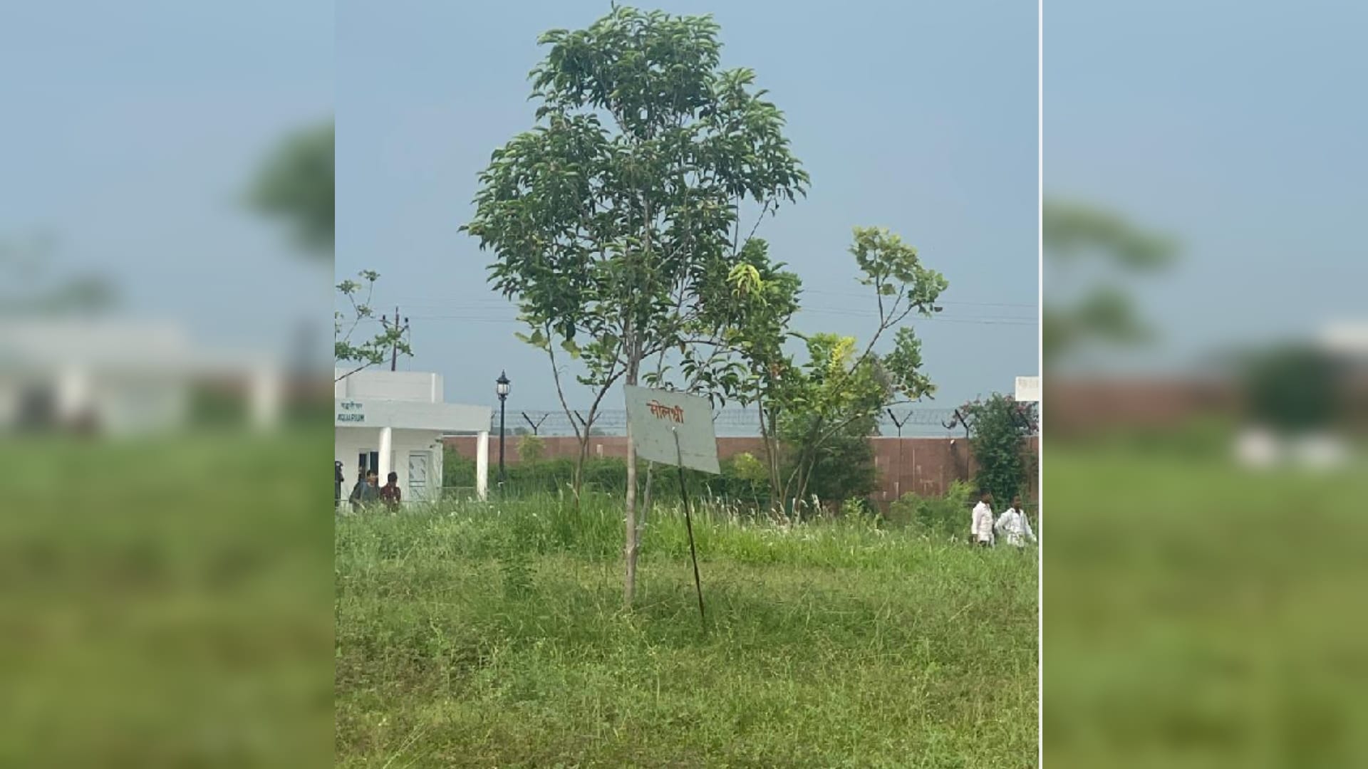 Gorakhpur News : VVIP plants dried up in zoo within a month