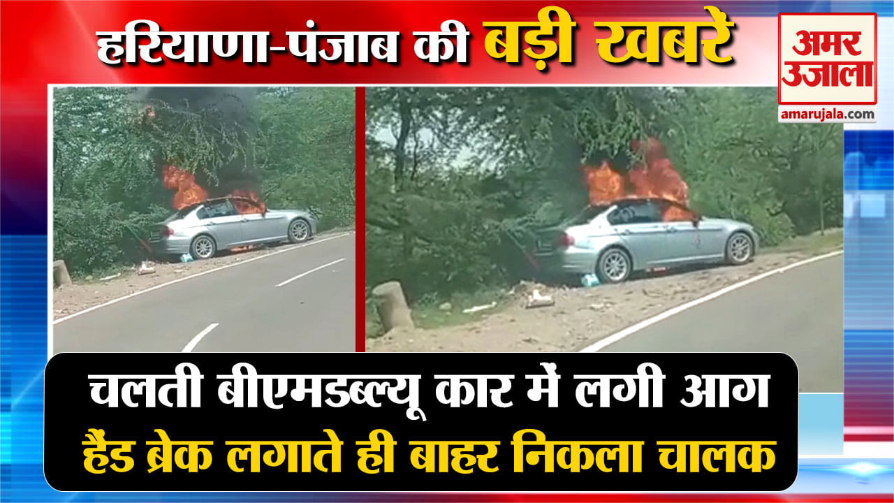 हरियाणा न्यूज