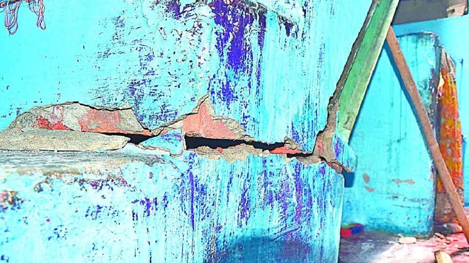 houses cracking due to rats in agra