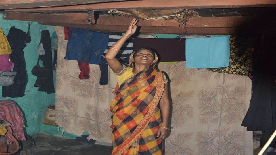 houses cracking due to rats in agra