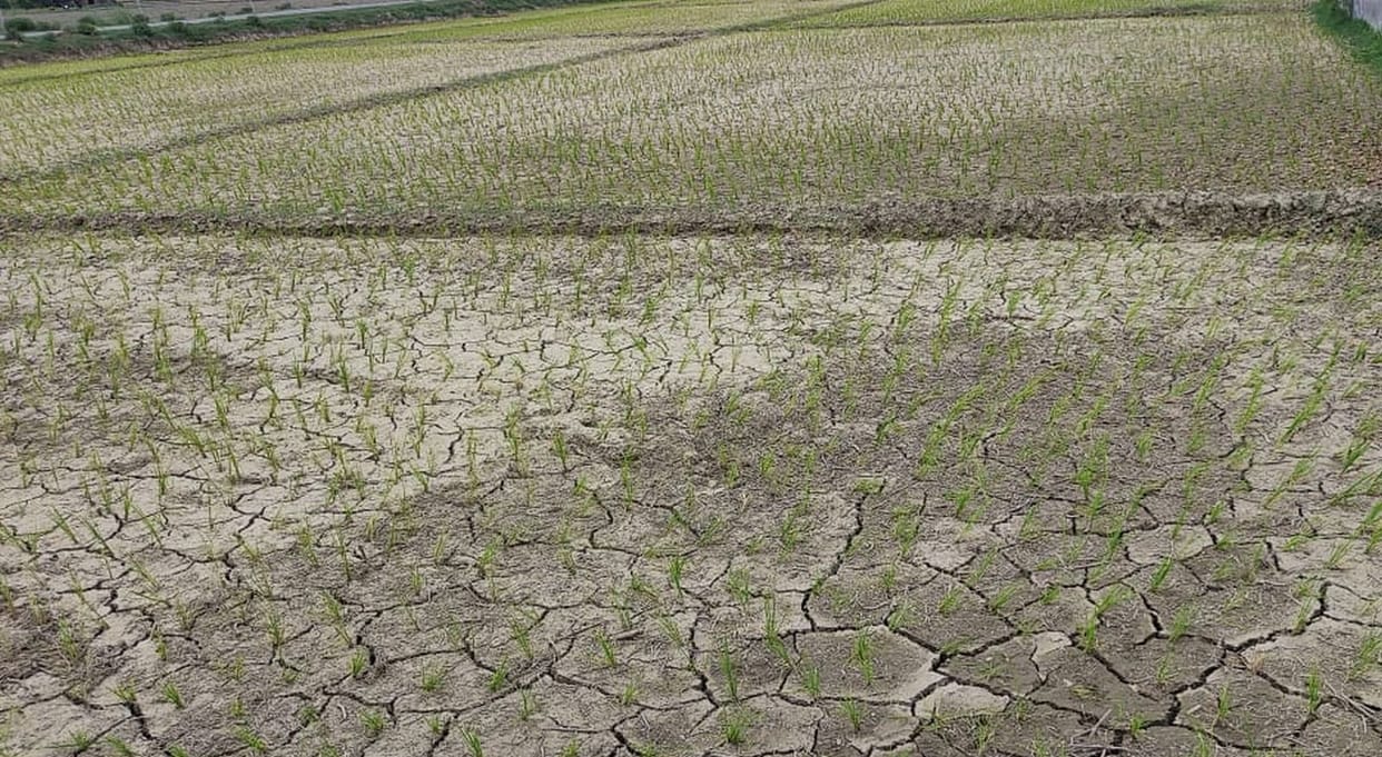 agricultur
