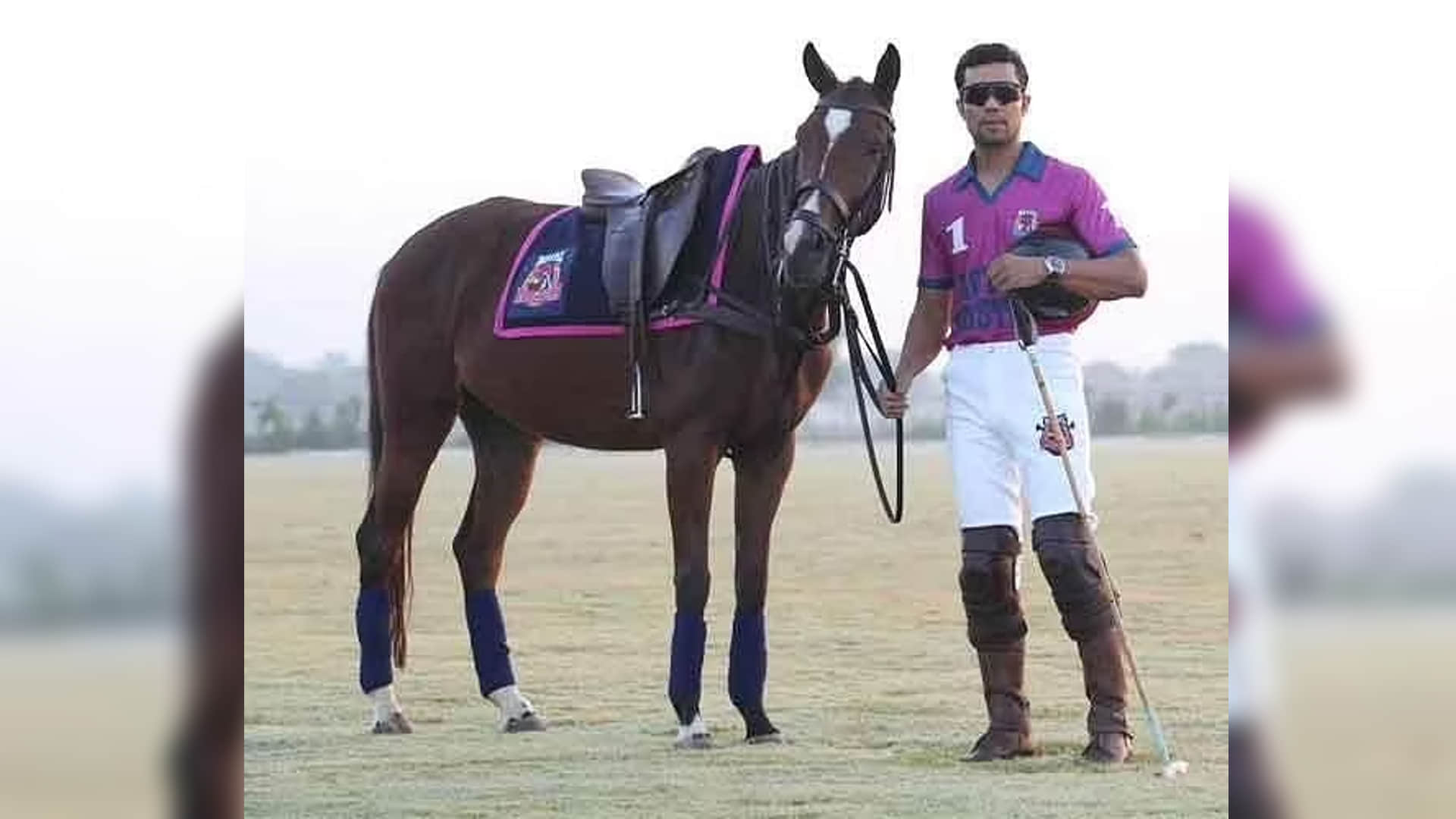 bollywood celebrities pet lover salman khan alia bhatt kapil sharma varun dhawan randeep hooda