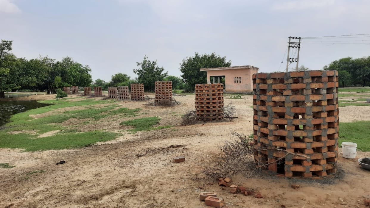 The desire for change, the desire to save greenery