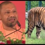 सीएम योगी और चिड़ियाघर का बाघ।