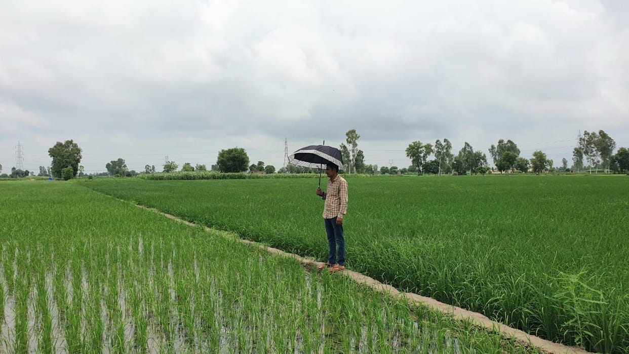 110 mm rainfall in Jakhal and 98 mm in Tohana