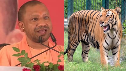 सीएम योगी और चिड़ियाघर का बाघ।
