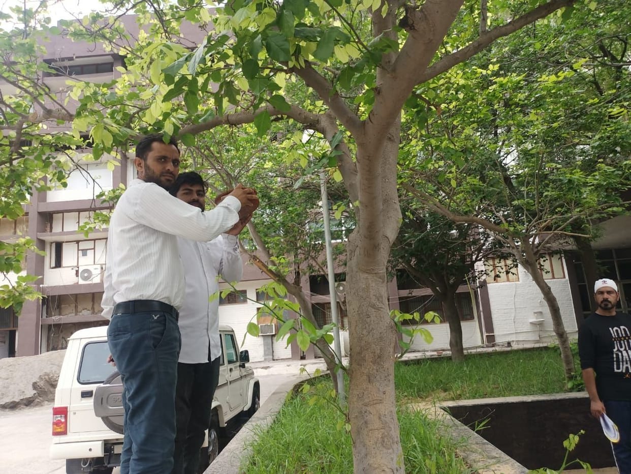 Dengue threat: City council to conduct fogging in city for 38 days