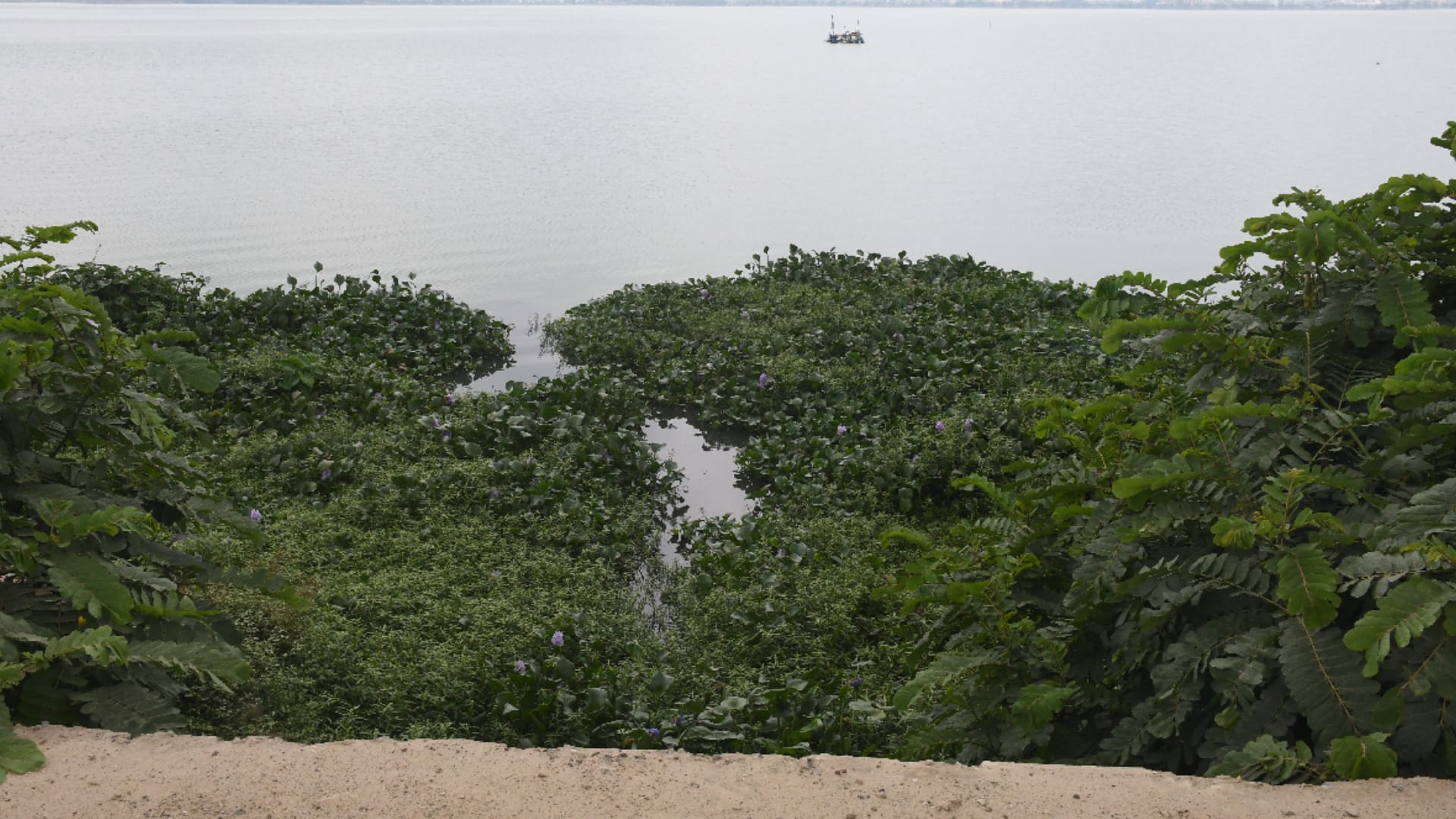 Seven crore liters of dirty water falling daily in Rapti-Rohin river