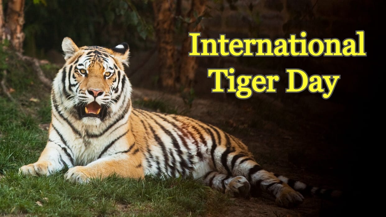 International Tiger Day: IFS officer Ramesh Pandey says, tigers are neither man eaters nor dreaded animals