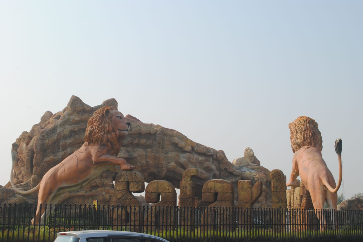 Etawah Lion Safari again brings good news, lioness Jessica and Jennifer two months pregnant